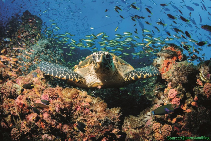 BIT Blog | The voice of Greta Thunberg - The Climate Activist - BIT Blog